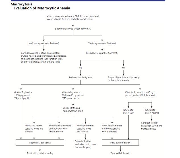 Folic Acid Deficiency Heme Orthobullets